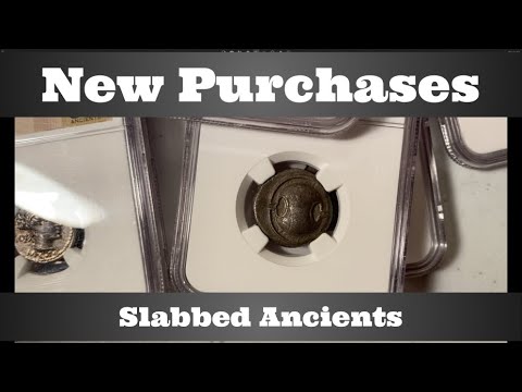 New Purchases - Slabbed Ancients