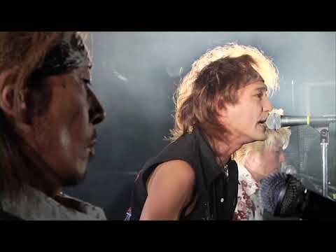 横道坊主 / Birds can't fly