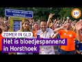 Zomer in Gelderland | Horsthoek | 24 augustus 2022