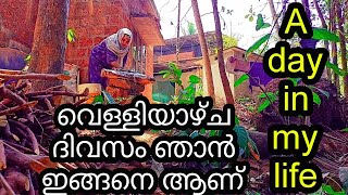 Indian House Wife Vlog|Village Life style malayalam|a day in my life|morning routine in village mom