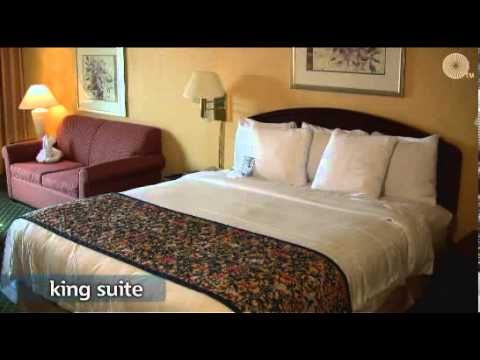 Courtyard Austin South - United States/Austin - Overview Hotel Tour