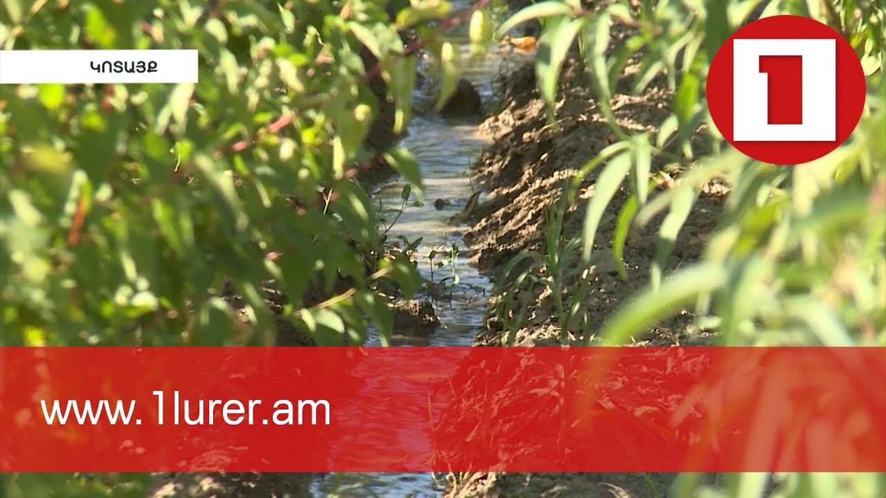 Սևանի ջուրը՝ այգիների փրկիչ