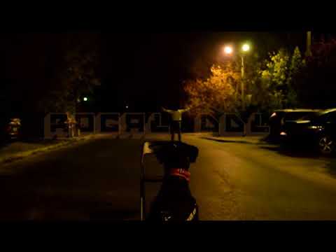 ROGAL DDL - AAAWARIA EEERROR - MIX ZWROTEK