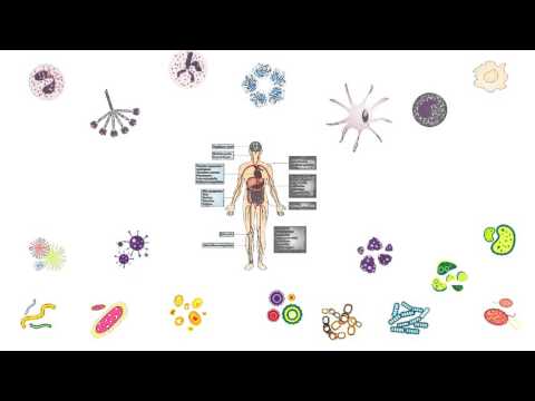 Eine Analyse der chronischen Prostatitis Benigne Prostatahyperplasie ist