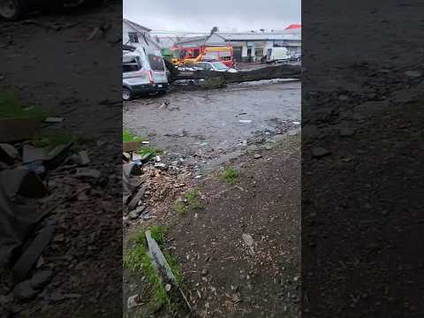 Árbol cae sobre una van en Cabrero