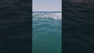 Hôtel Kasa Afrikana