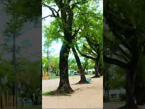 Descubriendo Plaza 9 de Julio 🌳✨ Caminando por Salud en Resistencia Chaco 🚶‍♀️💚