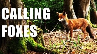 Fieldsports Britain : Shooting foxes, rabbits and how Italians run estates (episode 148)