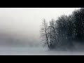 Moon Lake - Rodrigo Rodriguez [Music for Gayageum]