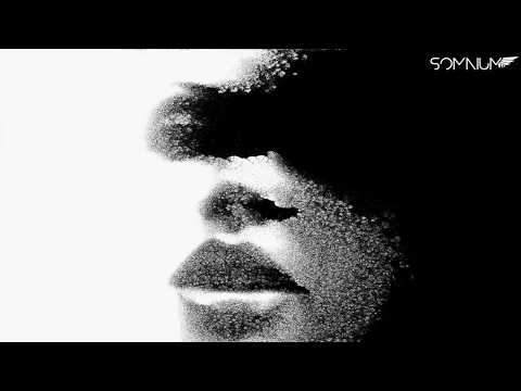 PREMIERE VIDEO: Anja Schneider - Got Me With A Bang (Original Mix) [Sous Music]