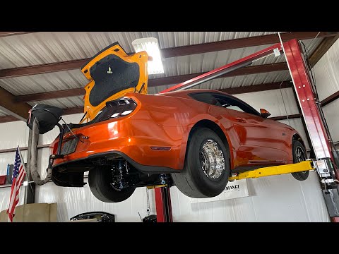 Nothing is ever "Plug n Play". Installing a Holley Dominator on a Gen 3 Coyote Mustang GT!