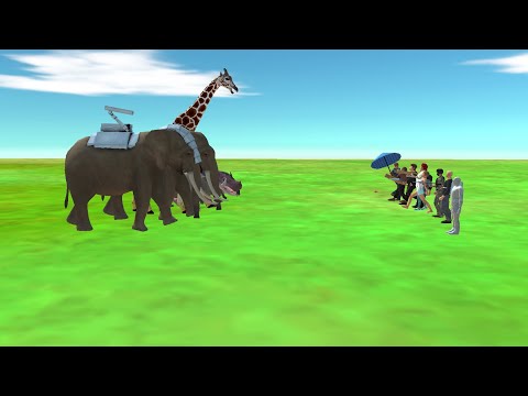 Modern humans vs modern mammals