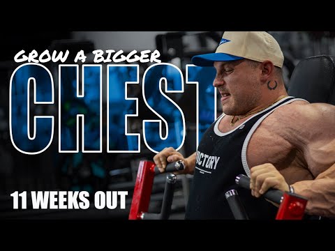 Grow a Bigger Chest (MegaMass Edition) | 11 weeks out | Martin "The Martian" Fitzwater