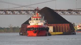 Download lagu Menyusuri sungai Barito & Aktifitas Tongkang Batubara Thn 2022, Banjarmasin, Kalimantan Selatan. mp3