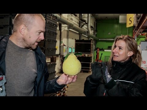 På besök i råvaruhimlen del 4 - Höstskörd hos Grönsakshallen Sorunda