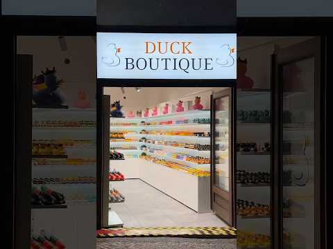 What is the Duck Boutique in Prague, Czech Republic?! 🇨🇿 #traveleurope #praguetravel