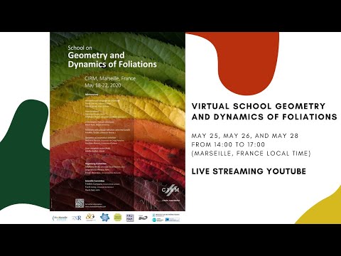 Virtual School Geometry and dynamics of Foliations