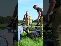 VEULENTJE uit sloot GEHAALD | #shorts