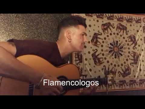 Luitingo - Voy a terminar || Flamencologos ||