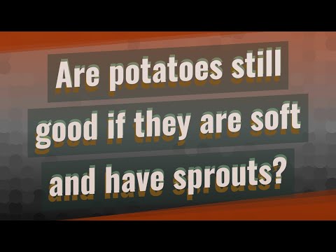 download lagu mp3 mp4 If A Potato Is Soft Is It Bad, download lagu If A Potato Is Soft Is It Bad gratis, unduh video klip If A Potato Is Soft Is It Bad