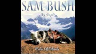 &quot;Girl from the North Country&quot; by Sam Bush