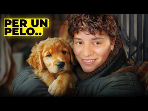 Vi presento Haleb, il CANE che ho SALVATO dalla MORTE CERTA.