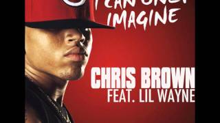 David Guetta ft. Chris Brown and Lil Wayne - I Can Only Imagine