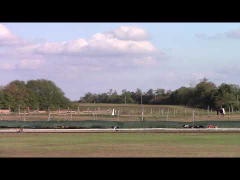 European Derby Plate 1st semifinal - 01.10.2021