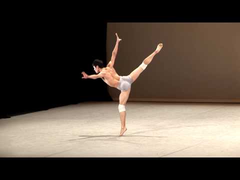 Zunyuan Gong - 2013 Selections - Contemporary variation