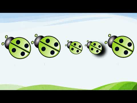 Easy Rhythm Play Along 'Jibidi'- Musicograma