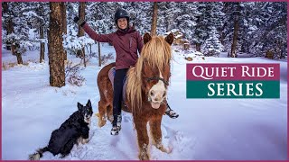 A Quiet Ride: Explore the Magical Colorado Winter on Horseback!