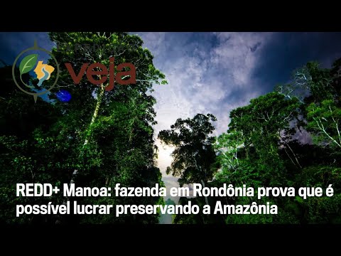 REDD+ Manoa: como uma fazenda em Rondônia prova que é possível lucrar preservando a Amazônia