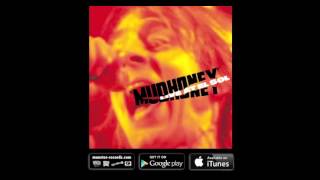 Mudhoney "Into the Drink"  (Live at El Sol, Madrid)