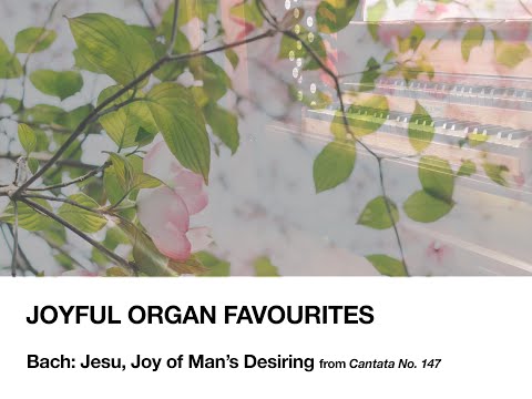 BACH // Jesu Joy of Man’s Desiring // PIPE ORGAN 🎹