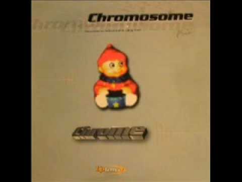 Chromosome - Nagano