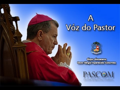 DOM 12 06 2016 11º Domingo Tempo Comum Evangelho    Lc 7,36 8,3