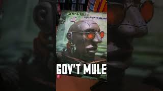 GOV'T MULE - Life Before Insanity - Bad Little Doggie #shorts
