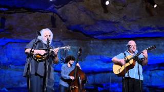 David Grisman, Beautiful Dreamer