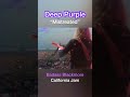 Deep Purple - "Mistreated" Live at California Jam (1974)#shorts  #deeppurple #ritchieblackmore