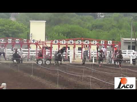 PIPILEO HIPODROMO DON SOHAR CRUZ DEL EJE 17 12 2022