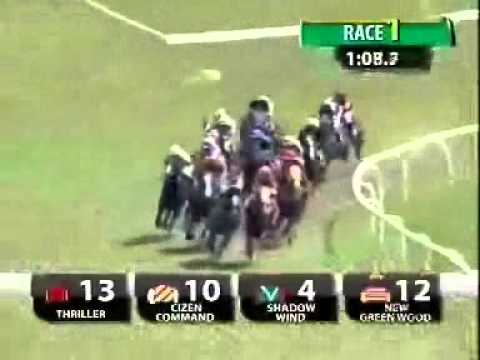 20110109 IPOH  CLASS 5 1600M (LC) - I WISH (R Woodworth)