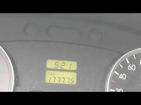 177777  이게 뭘까요