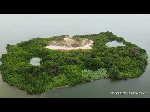 Zelgeon - Akiechi Weimei (Official Visualizer)