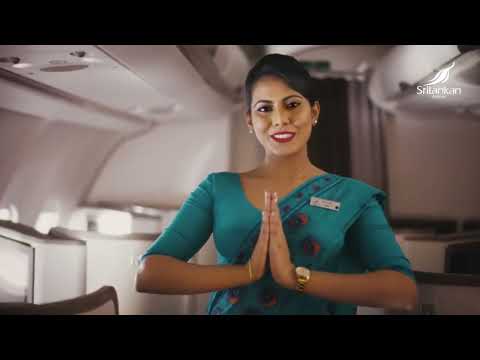 Two Weeks in Tropical Paradise ⛰⛺️🌿