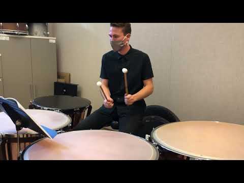 Vic Firth Solo Timpanist No. 15
