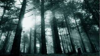 Times Of Grace - Fall From Grace - Piano Cover