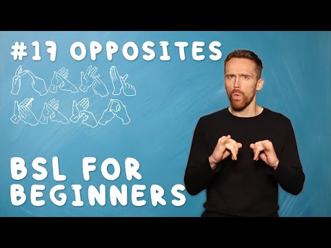 BSL for Beginners #17: Opposites