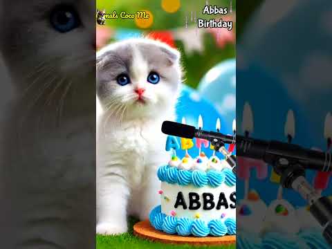 ABBAS HAPPY BIRTHDAY | HAPPY BIRTHDAY SONG WITH NAMES | Adorable Cute Cat 😺 #happybirthday #cat
