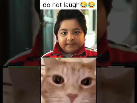 kuldeep hai😂 #viral #funny #cat #catreaction #funnyvideo #morning