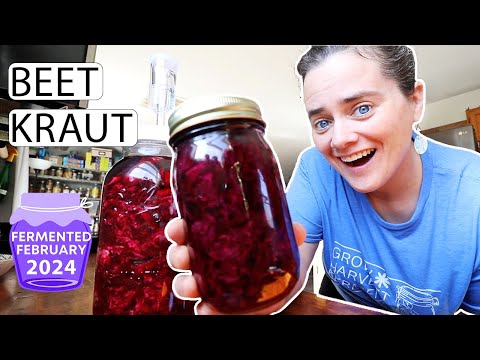 Beet Kraut | Sweet And Sour For Beginners | #fermentedfebruary2024 | Fermented Homestead